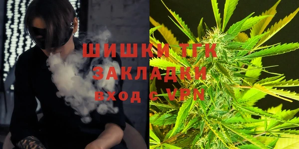МДПВ Богородск