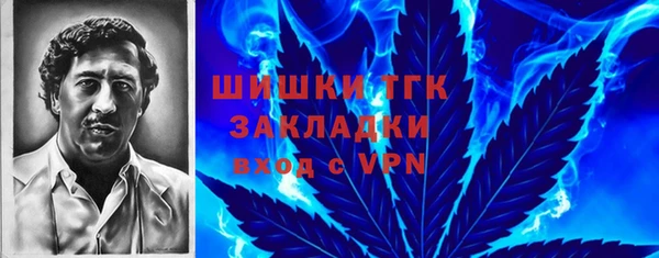 МДПВ Богородск