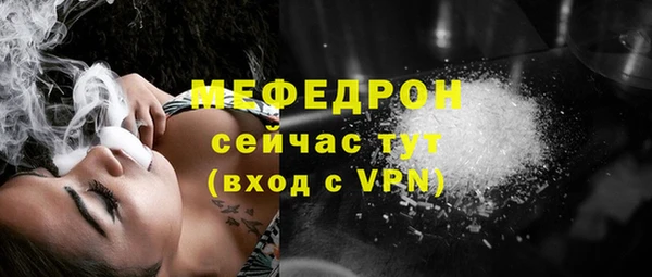 МДПВ Богородск