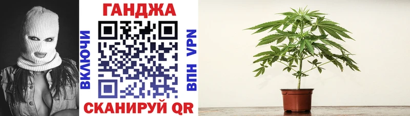 Купить где  Муравленко  Канабис индика 